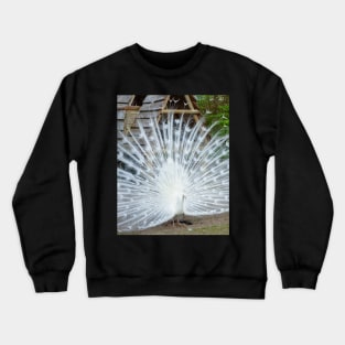 White Peacock Crewneck Sweatshirt